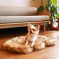 Load image into Gallery viewer, PupRug™ Faux Fur Orthopedic Dog Bed - Curve Sable Tan