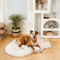 Load image into Gallery viewer, PupRug™ Faux Fur Orthopedic Dog Bed - Curve White with Brown Accents