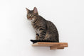 Load image into Gallery viewer, Cat Climbing Shelf