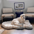 Load image into Gallery viewer, PupRug™ Faux Fur Orthopedic Dog Bed - Curve White with Brown Accents