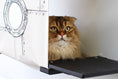 Load image into Gallery viewer, Cat Cubby for Wall - Covered Cat Bed