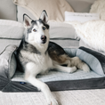 Load image into Gallery viewer, PupChill™ Cooling Dog Bed - Cooling-Gel Comfort for Deep Summer Rest
