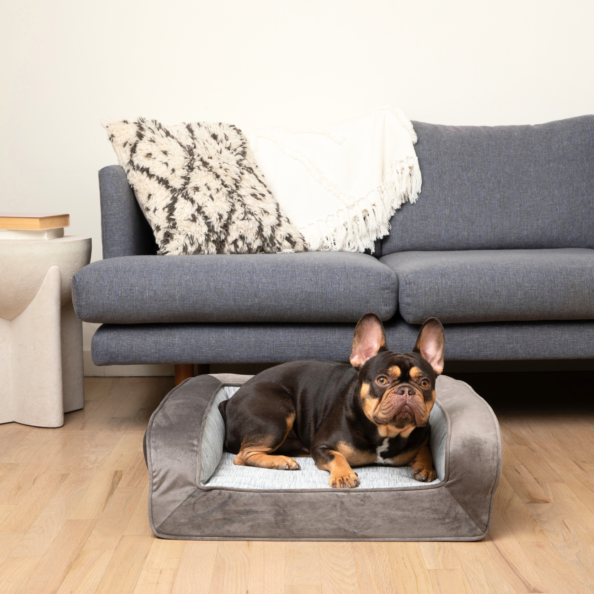 PupChill™ Cooling Dog Bed - Cooling-Gel Comfort for Deep Summer Rest