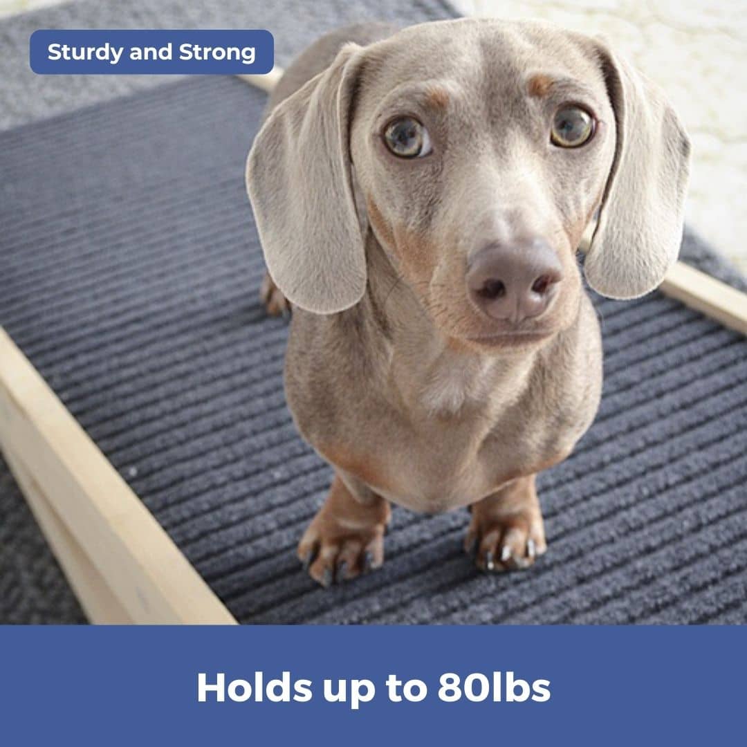 DachRamp™ - The #1 Vet-Recommended Way to Protect Your Dachshund's Back & Joints