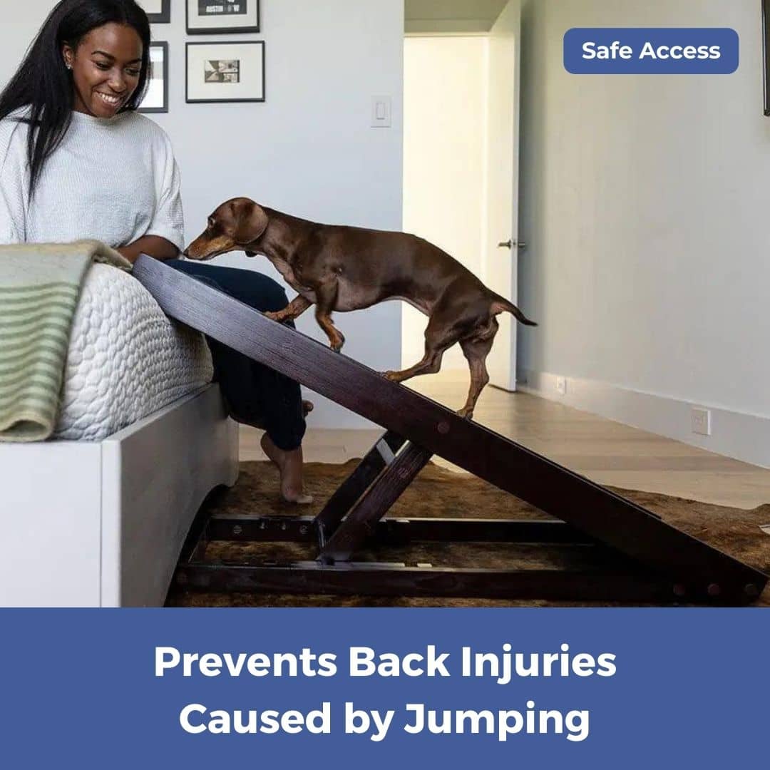 DachRamp™ - The #1 Vet-Recommended Way to Protect Your Dachshund's Back & Joints