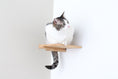 Load image into Gallery viewer, Cat Climbing Shelf

