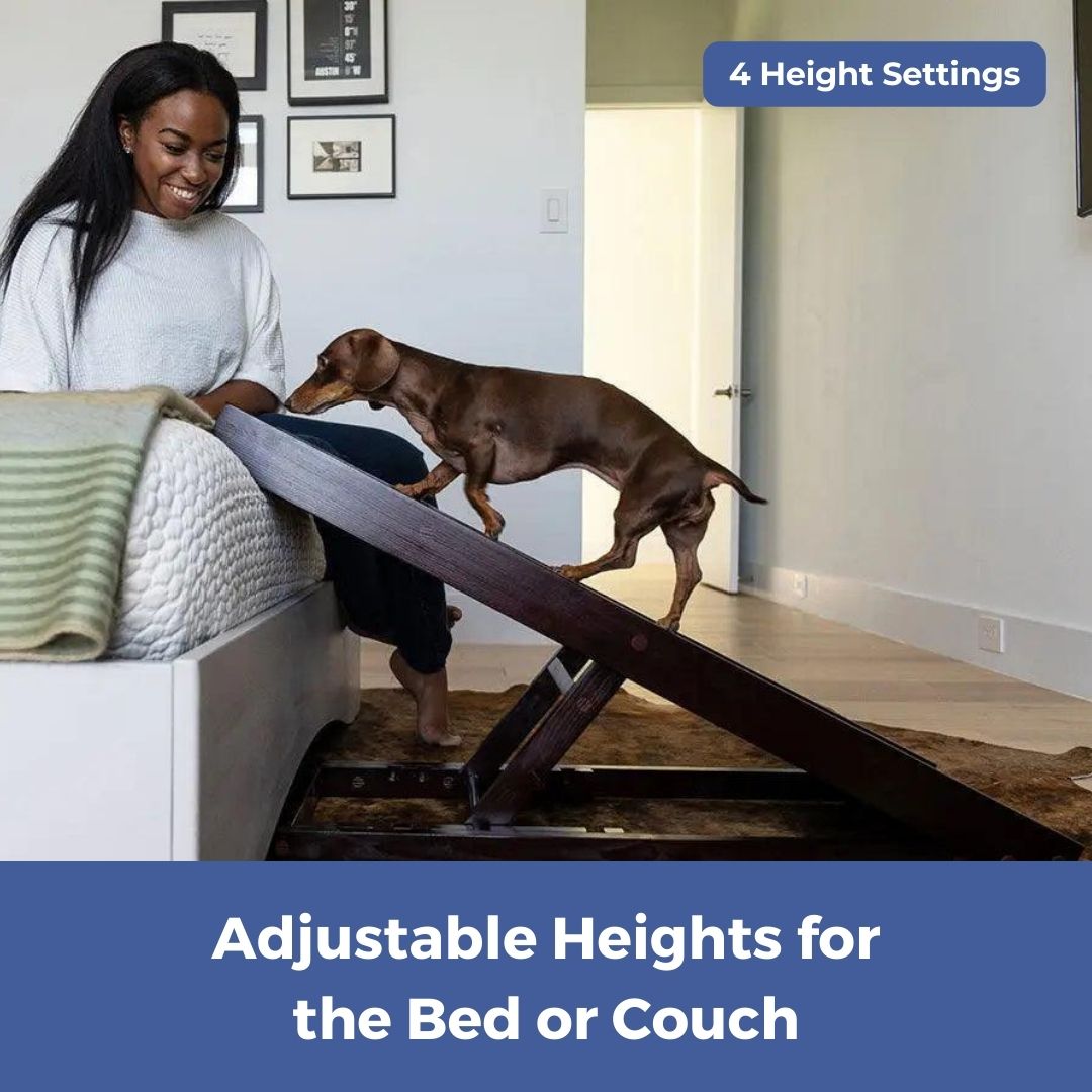 PawRamp – The #1 Vet-Recommended Way to Protect Your Dog’s Back & Joints