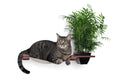 Load image into Gallery viewer, Cat Hammock Wall with Planter

