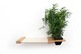 Load image into Gallery viewer, Cat Hammock Wall with Planter
