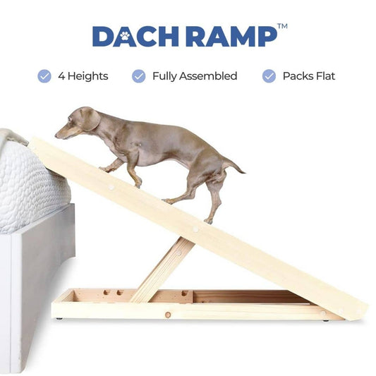 DachRamp™ - The #1 Vet-Recommended Way to Protect Your Dachshund's Back & Joints