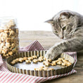 Load image into Gallery viewer, BoneItUp® Cat Edition Homemade Treats Kit
