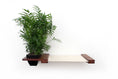 Load image into Gallery viewer, Cat Hammock Wall with Planter
