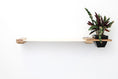 Load image into Gallery viewer, Cat Hammock Wall with Planter
