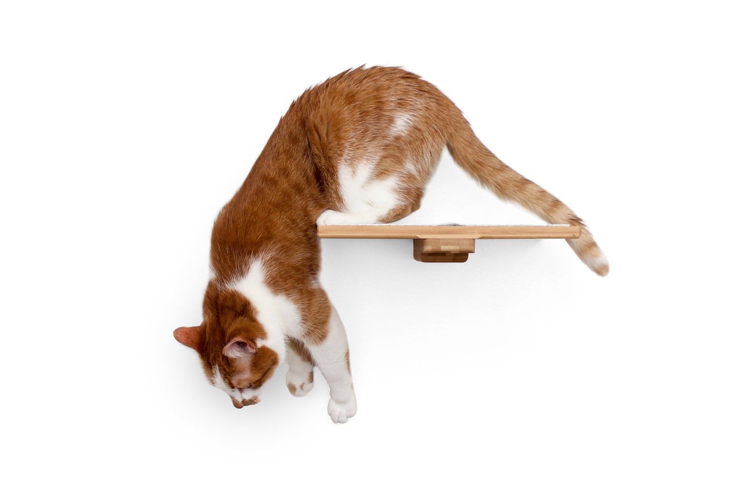 Cat Perch - Wall Mounted and Wooden